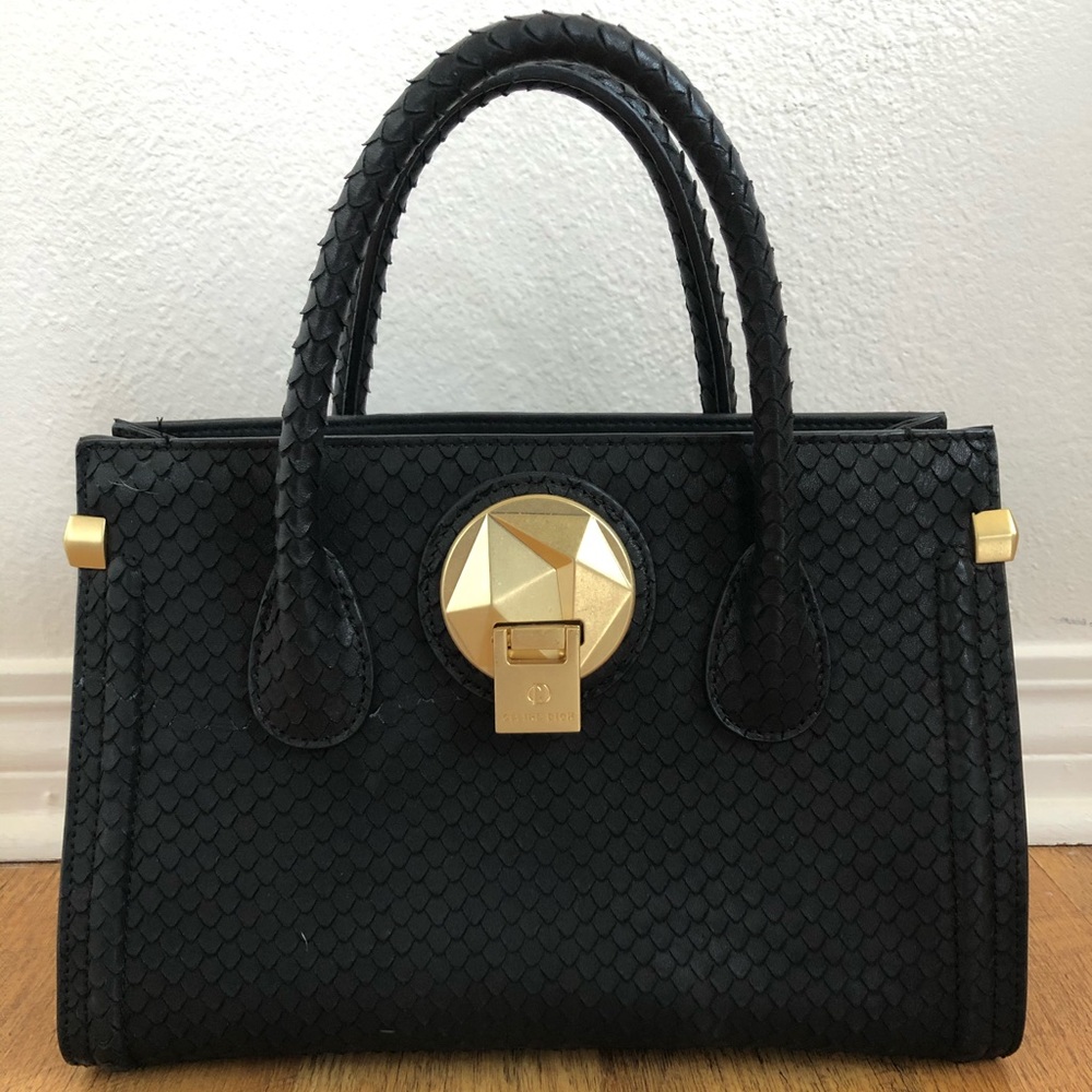 Celine dion purse